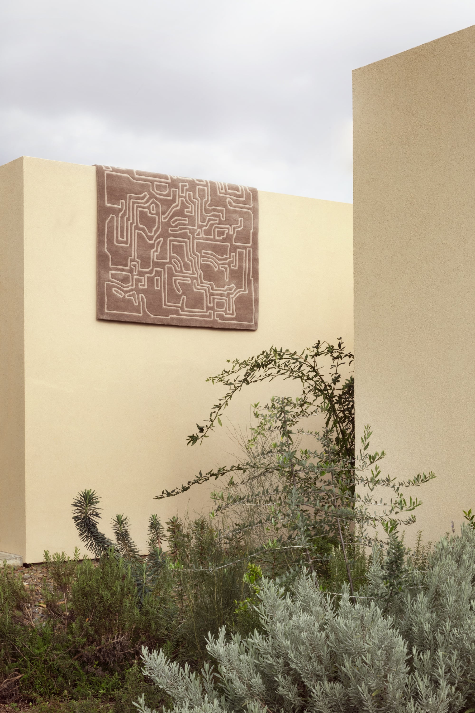 Pale Rose - Structures 2.0